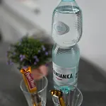 Belvedere Lawica Airport Apartment