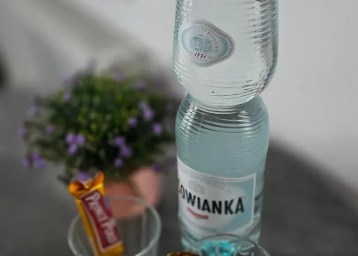 Belvedere Lawica Airport Appartement